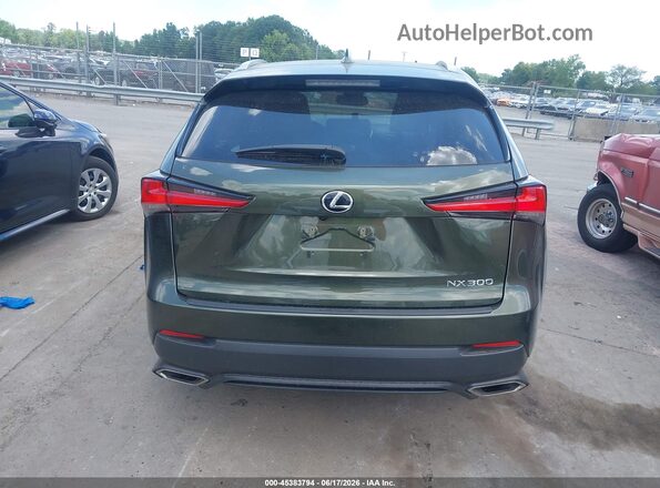 JTJDARBZXM2191416 2021 LEXUS NX 300 Green 
