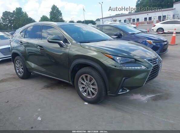 JTJDARBZXM2191416 2021 LEXUS NX 300 Green Rear interior view