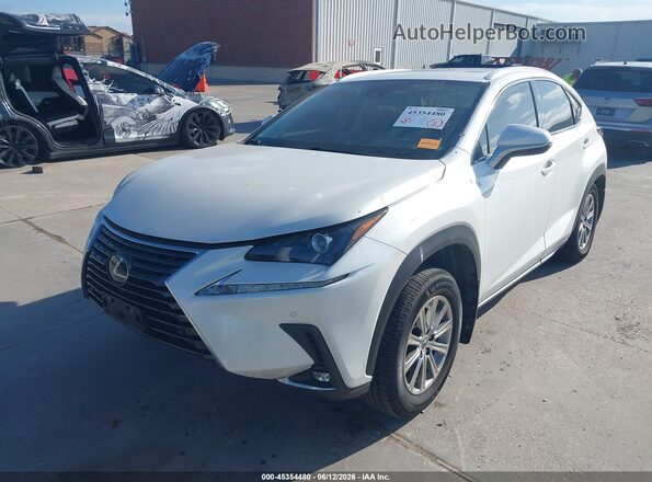 JTJDARBZXM5032572 2021 LEXUS NX 300 White Vista tres cuartos delantera izquierda