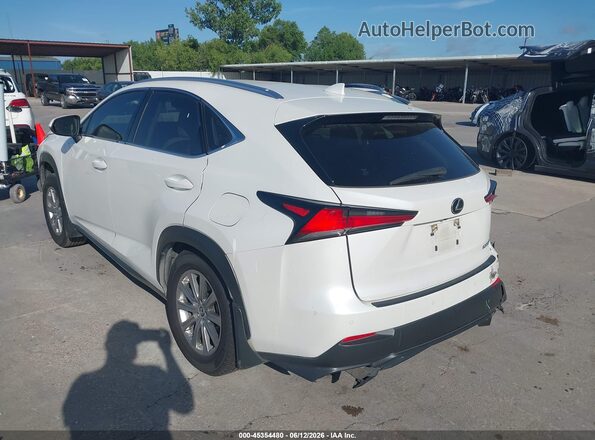 JTJDARBZXM5032572 2021 LEXUS NX 300 White Trasero izquierdo