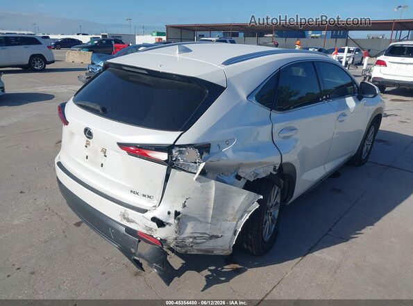 JTJDARBZXM5032572 2021 LEXUS NX 300 White Trasero derecho