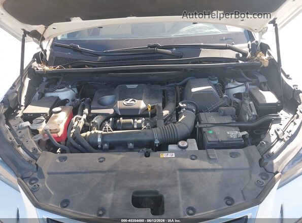 JTJDARBZXM5032572 2021 LEXUS NX 300 White Vista trasera