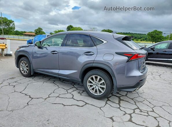 JTJDARDZ1M2246784 2021 LEXUS NX Gray Հետևի ձախ