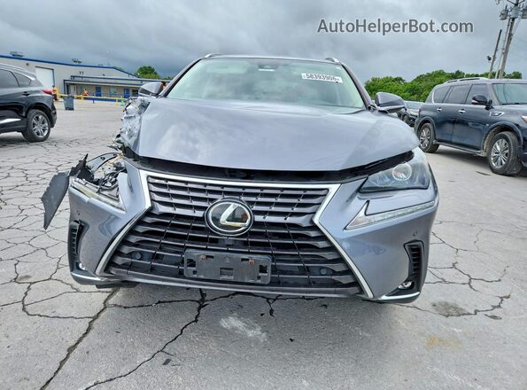 JTJDARDZ1M2246784 2021 LEXUS NX Gray Դիմացի տեսք
