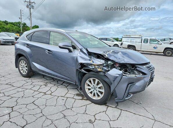 JTJDARDZ1M2246784 2021 LEXUS NX Gray Առջևի աջ