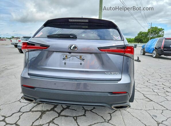 JTJDARDZ1M2246784 2021 LEXUS NX Gray Հետևի տեսք