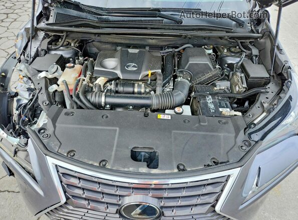 JTJDARDZ1M2246784 2021 LEXUS NX Gray Շարժիչի բաժամունքի տեսք