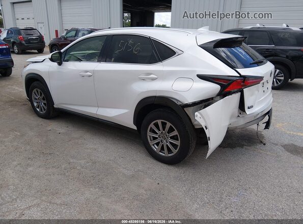 JTJDARDZ2L5006673 2020 LEXUS NX 300 Белый Задняя левая четверть