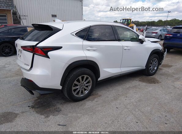 JTJDARDZ2L5006673 2020 LEXUS NX 300 Белый Задняя правая четверть
