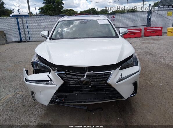 JTJDARDZ2L5006673 2020 LEXUS NX 300 Белый Вид задней части салона