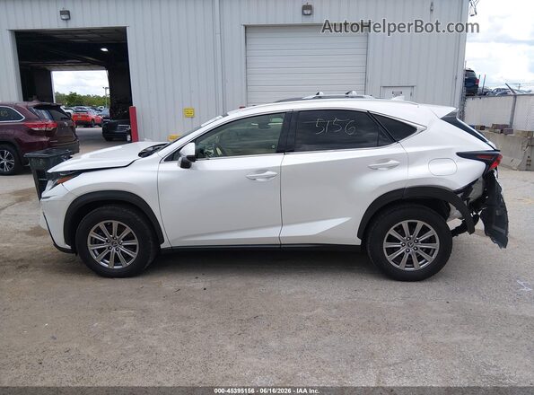 JTJDARDZ2L5006673 2020 LEXUS NX 300 Белый 