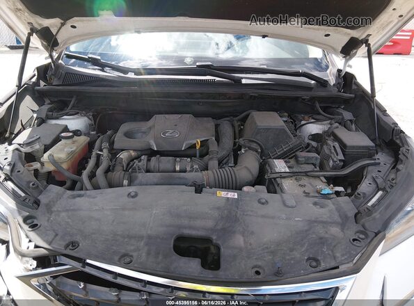 JTJDARDZ2L5006673 2020 LEXUS NX 300 Белый Вид сзади