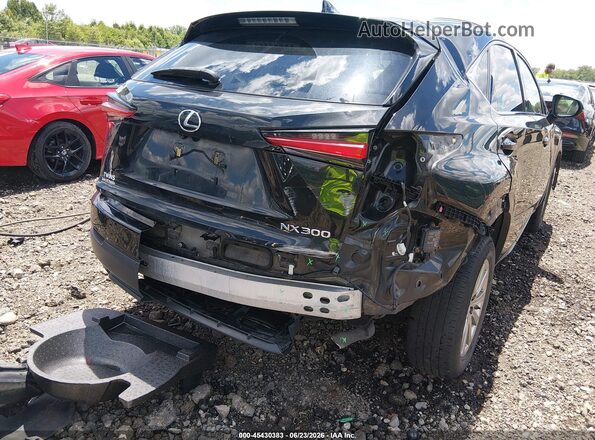 JTJDARDZ2M2236703 2021 LEXUS NX 300 Black Vista frontal