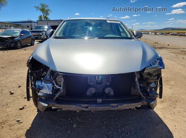 JTJDARDZ3L2236286 2020 LEXUS NX Silver 