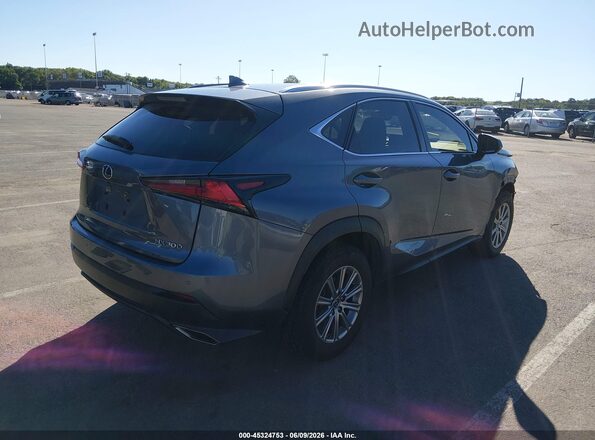 JTJDARDZ3L5013857 2020 LEXUS NX 300 Gray უკანა მარჯვენა