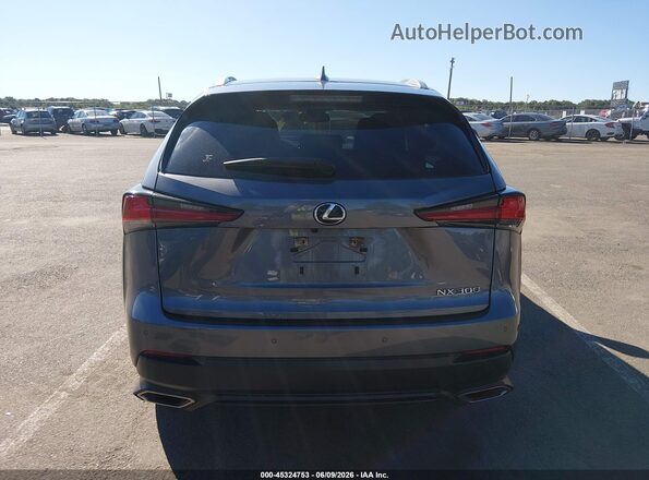 JTJDARDZ3L5013857 2020 LEXUS NX 300 Gray 