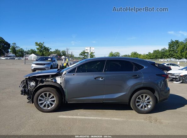 JTJDARDZ3L5013857 2020 LEXUS NX 300 Gray სალონის 360-გრადუსიანი ხედი