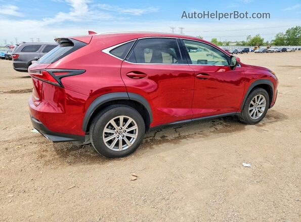 JTJDARDZ3M5023810 2021 LEXUS NX Red Հետևի աջ