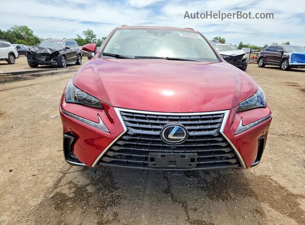 JTJDARDZ3M5023810 2021 LEXUS NX Red Դիմացի տեսք