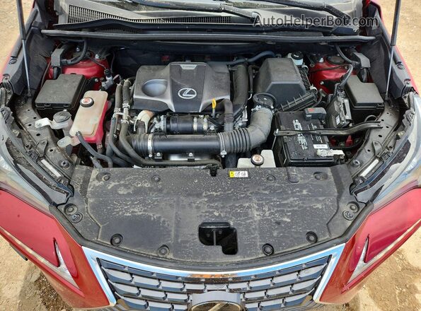 JTJDARDZ3M5023810 2021 LEXUS NX Red Սալոնի հետևի տեսք