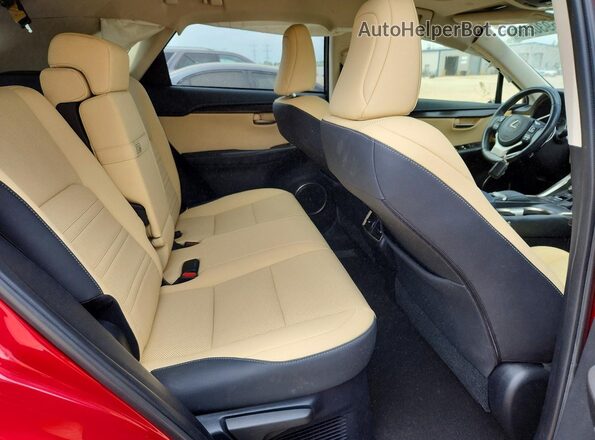 JTJDARDZ3M5023810 2021 LEXUS NX Red Հետևի նստատեղերի տեսք