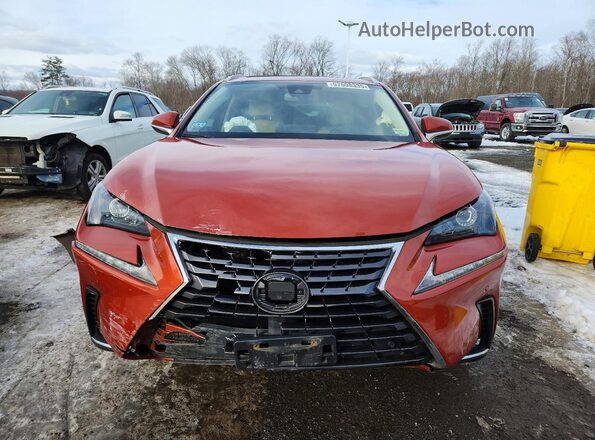 JTJDARDZ5L2220722 2020 LEXUS NX Orange 
