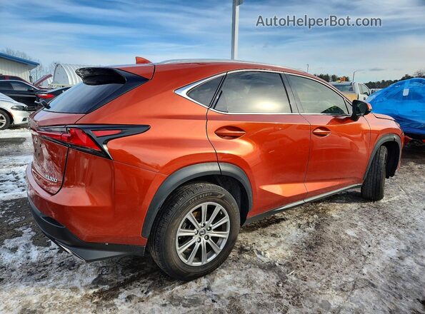 JTJDARDZ5L2220722 2020 LEXUS NX Orange 
