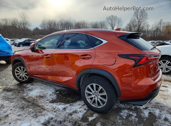JTJDARDZ5L2220722 2020 LEXUS NX Orange 