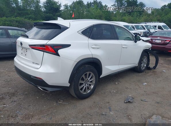 JTJDARDZ6L5004831 2020 LEXUS NX 300 White Задня права чверть