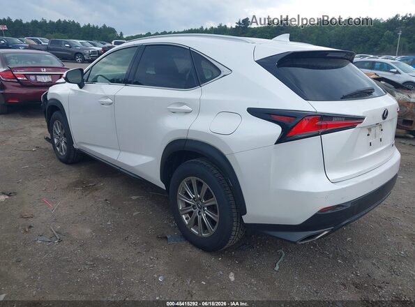 JTJDARDZ6L5004831 2020 LEXUS NX 300 White Задня ліва чверть