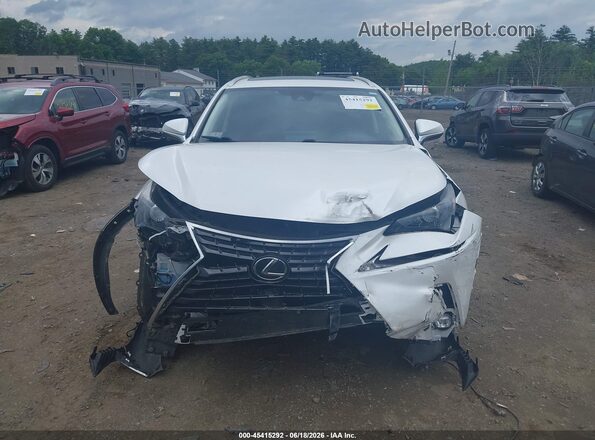 JTJDARDZ6L5004831 2020 LEXUS NX 300 White Вид задньої частини салону