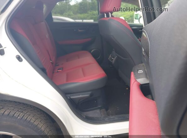 JTJDARDZ6L5004831 2020 LEXUS NX 300 White Вид наклейки з VIN-кодом