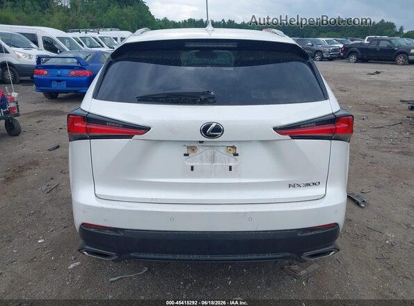 JTJDARDZ6L5004831 2020 LEXUS NX 300 White 