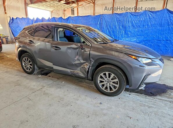 JTJDARDZ7M2239094 2021 LEXUS NX Gray წინა მარჯვენა