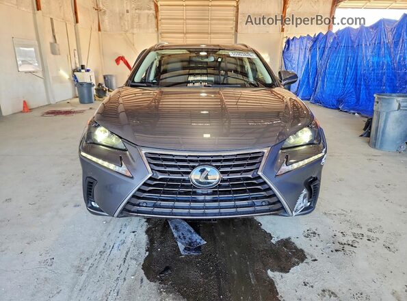 JTJDARDZ7M2239094 2021 LEXUS NX Gray წინა ხედი