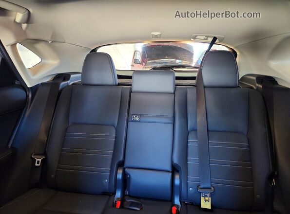 JTJDARDZ7M2239094 2021 LEXUS NX Gray უკანა სავარძლების ხედი