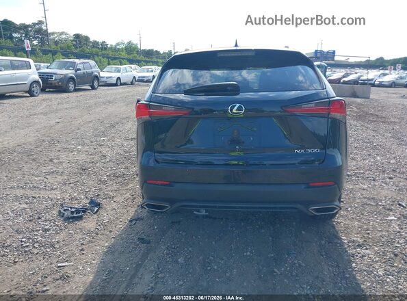 JTJDARDZ7M2246045 2021 LEXUS NX 300 Black 