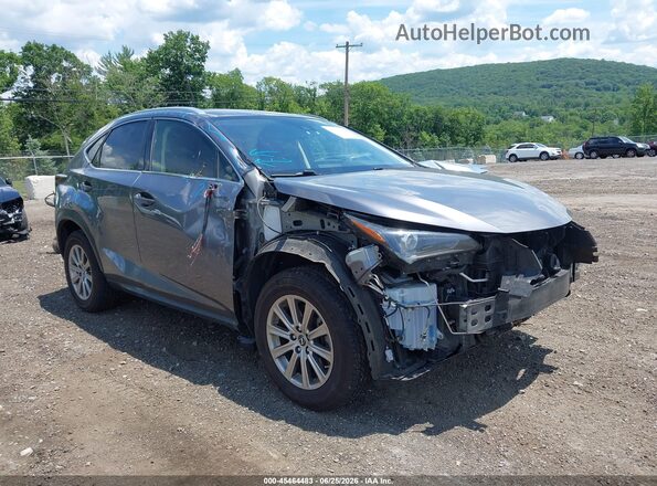 JTJDARDZ9M2237279 2021 LEXUS NX 300 Gray წინა ხედი