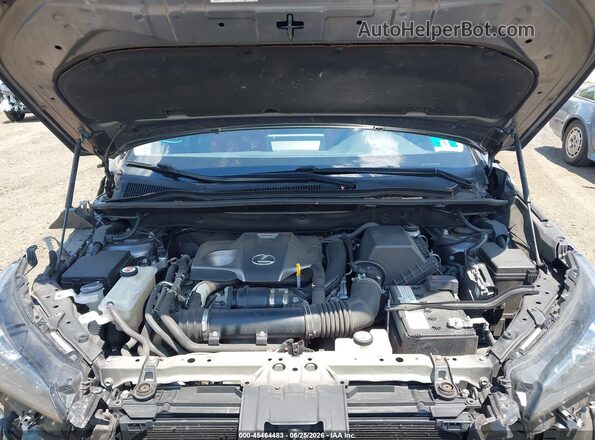 JTJDARDZ9M2237279 2021 LEXUS NX 300 Gray უკანა ხედი
