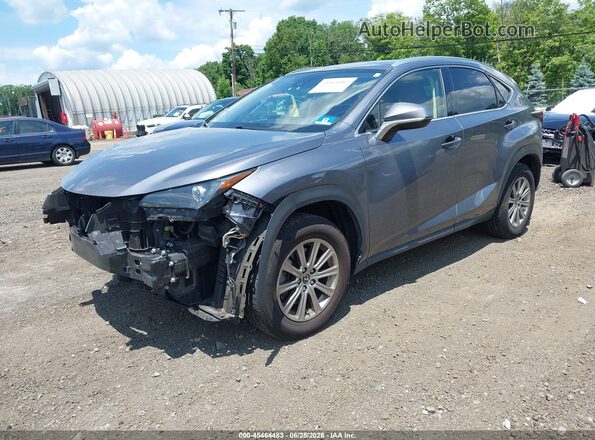 JTJDARDZ9M2237279 2021 LEXUS NX 300 Gray წინა მარცხენა ხედი სამი მეოთხედიდან