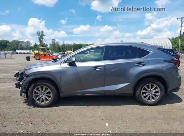 JTJDARDZ9M2237279 2021 LEXUS NX 300 Gray სალონის 360-გრადუსიანი ხედი