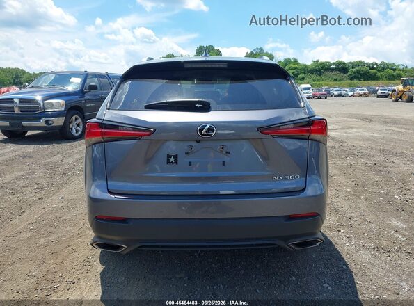 JTJDARDZ9M2237279 2021 LEXUS NX 300 Gray 