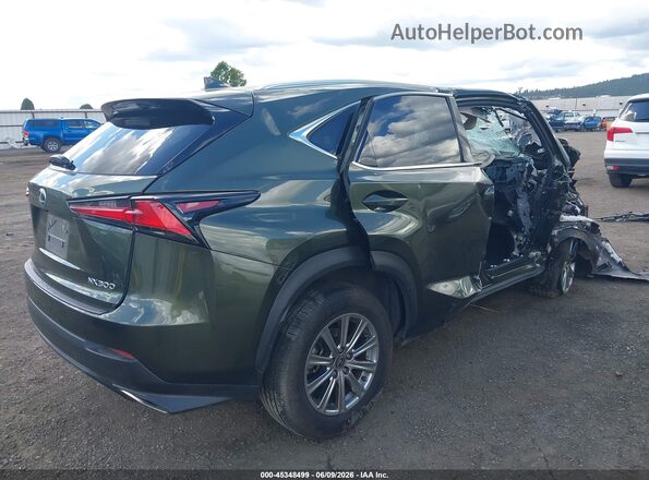 JTJDARDZ9M2243888 2021 LEXUS NX 300 Зеленый Задняя правая четверть