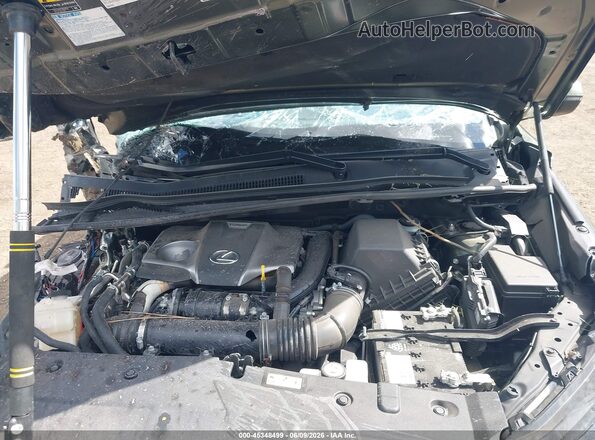 JTJDARDZ9M2243888 2021 LEXUS NX 300 Зеленый Вид сзади