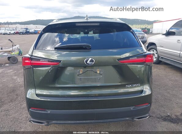 JTJDARDZ9M2243888 2021 LEXUS NX 300 Зеленый 