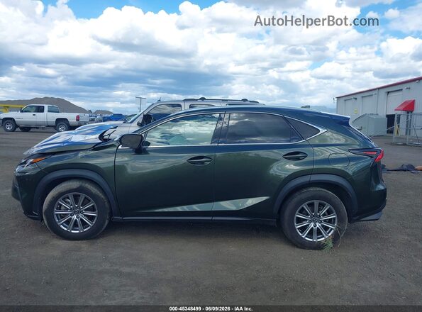 JTJDARDZ9M2243888 2021 LEXUS NX 300 Зеленый 