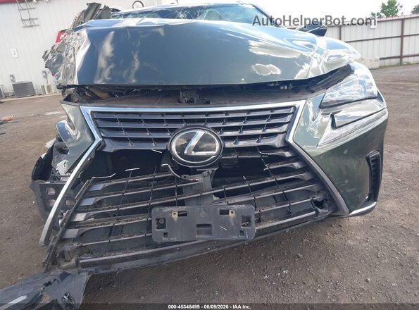 JTJDARDZ9M2243888 2021 LEXUS NX 300 Зеленый 