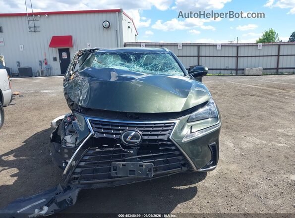 JTJDARDZ9M2243888 2021 LEXUS NX 300 Зеленый Вид задней части салона