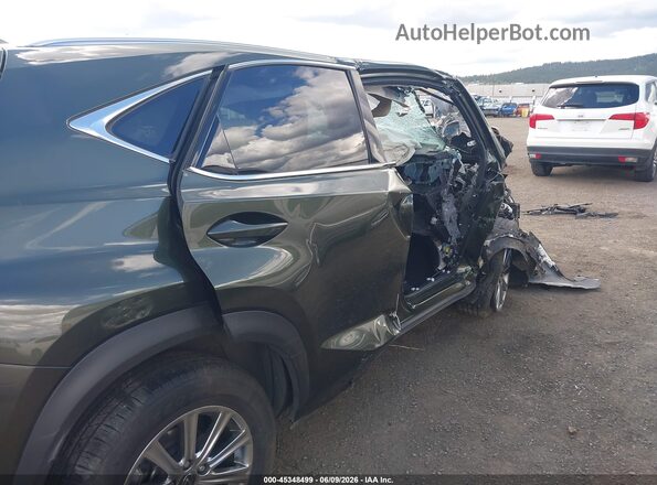 JTJDARDZ9M2243888 2021 LEXUS NX 300 Зеленый 