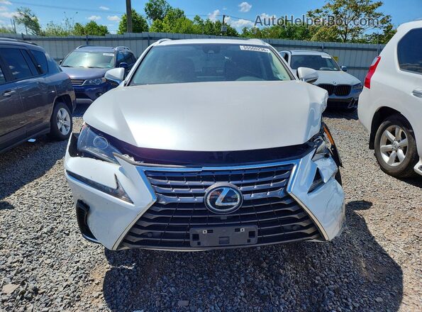 JTJDARDZ9M5028106 2021 LEXUS NX White წინა ხედი